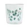 Dubbelwandig glas Eucalyptus