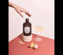 Gember Siroop - BIO 40 cl