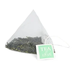 Japan Sencha Fukujyu theebuiltjes in blik - 10 stuks