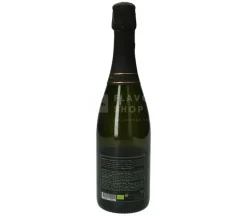 Sparkteez 75 cl