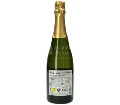 Win Verdejo Sparkling Wit - Alcoholvrije schuimwijn 75 cl
